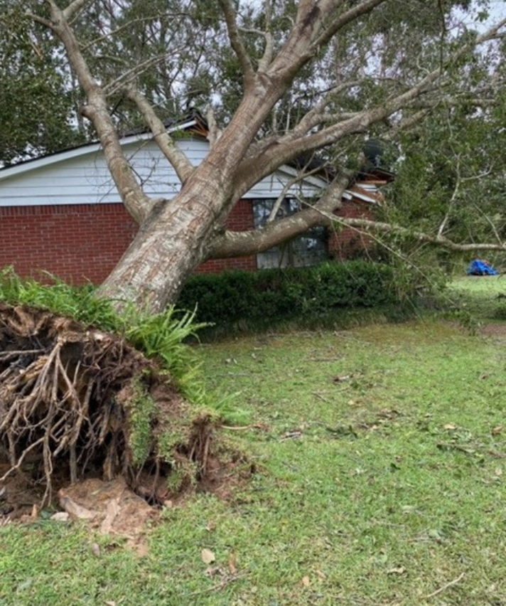 Catastrophe Claims with Cook Claims